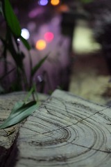 DSCF3064.JPG