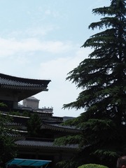BD681E73-26CB-4D97-A551-A2FF66DDE107/L0/001