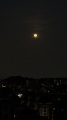 2707423A-5E10-4012-9BF5-D9AA0299EC34/L0/001