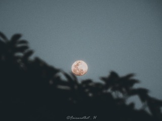 677270
