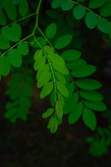 956739