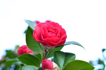 1DA5F859-B8D4-4A5E-B31A-810B17CC3A99/L0/001