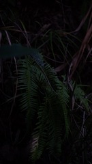 957D754C-DC81-4947-86DD-D709C3CDF1CD/L0/001