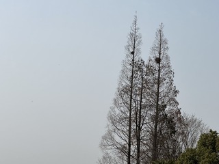 CA3CA483-ED4A-423C-B871-2139453B6FC0/L0/001