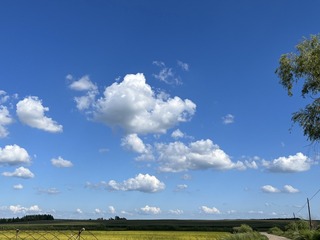 A1252F58-7E30-48FE-BEC7-AC76C9B4C66C/L0/001