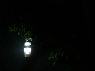 DSC06991.JPG