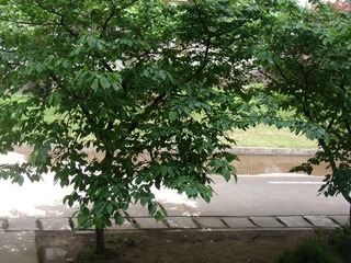DSC07157.JPG