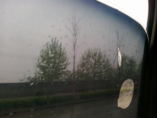 20100418558.jpg