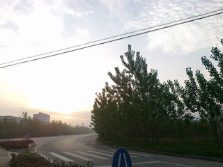 20100424708.jpg