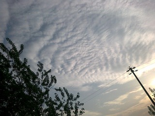 20100424737.jpg