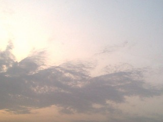 201004301011.jpg
