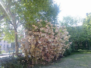 201005011112.jpg