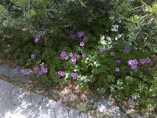 201005011121.jpg