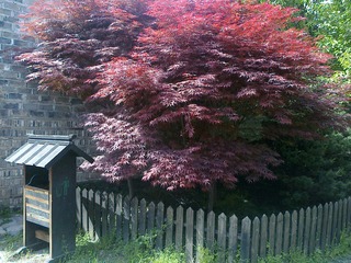 201005011184.jpg