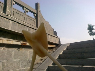 201005011202.jpg