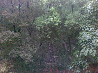 201007081613.jpg