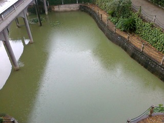 201007081624.jpg