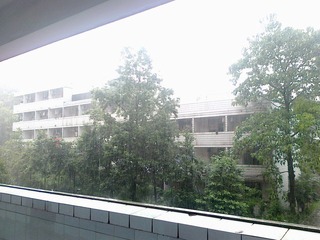 201007191647.jpg