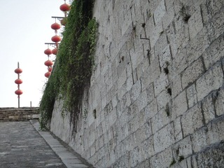 DSC00103.JPG