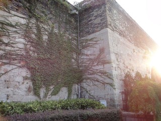 DSC00117.JPG