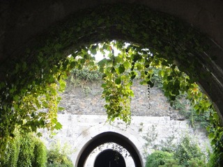 DSC00118.JPG
