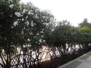 DSC00196.JPG