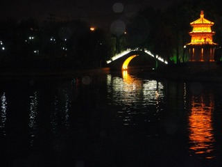 DSC00203.JPG