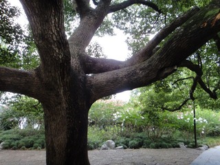 DSC00294.JPG