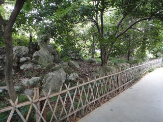 DSC00298.JPG