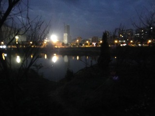 DSC00517.JPG