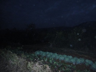 DSC00520.JPG