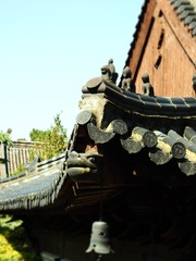245006