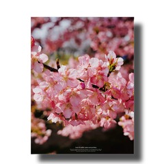 BB9C4774-1B44-4A19-AC51-3C7CFBDBB391/L0/001