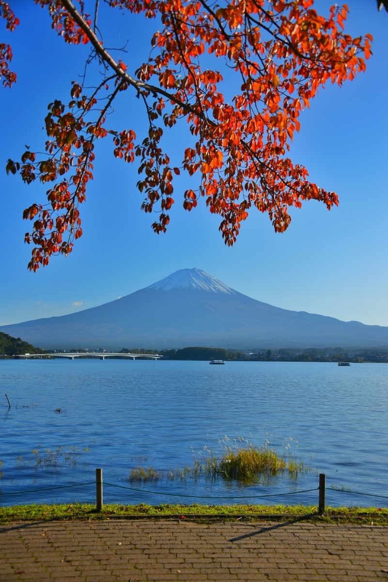 富士山