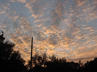 A6460A09-9E20-4182-942E-80E41DBCAA3F/L0/001