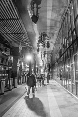 _DSL0491