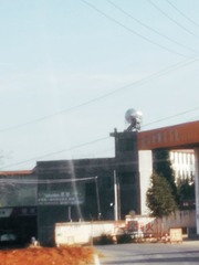 516568