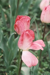 92C8ACDD-A6AD-452E-B960-7C83361DD1FC/L0/001