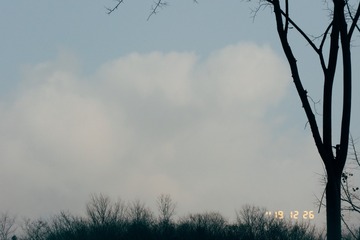12406