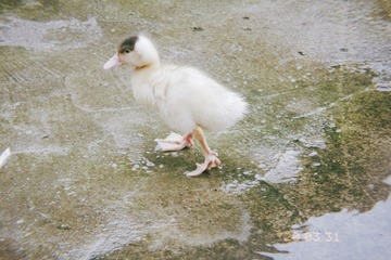 21011