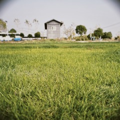 BB43A6AE-6C1F-48E6-8E37-74D15210DA16/L0/001