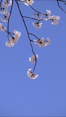 4E54C319-7E2C-4772-9306-1FC25F9227C6/L0/001