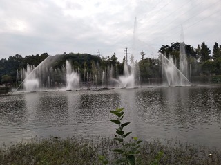1503534