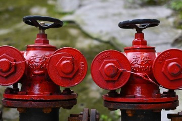 678004
