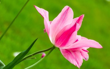 CA133912-403F-43F0-BB8B-4A4B3FEB81E1/L0/001