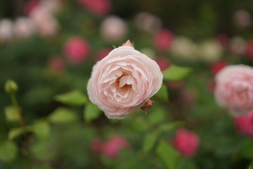 2EB7885B-82E2-4F27-91F5-0164492F20E3/L0/001