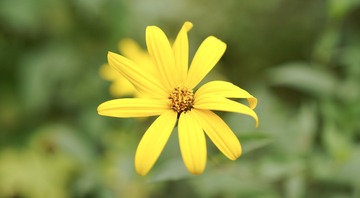 A2F80794-6A71-4C5F-AE7E-452F3376FB01/L0/001