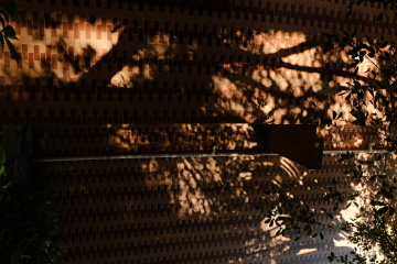 DSCF0120