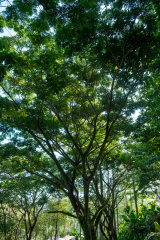 DSCF0124_1