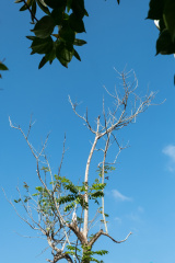 DSCF0126_1
